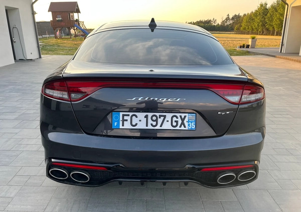 Kia Stinger cena 157000 przebieg: 6200, rok produkcji 2022 z Turek małe 667